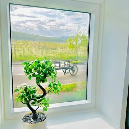 La Du Vignoble D Alsace