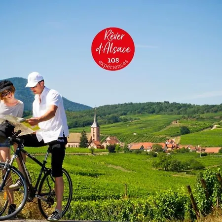 Willa La Du Vignoble D Alsace