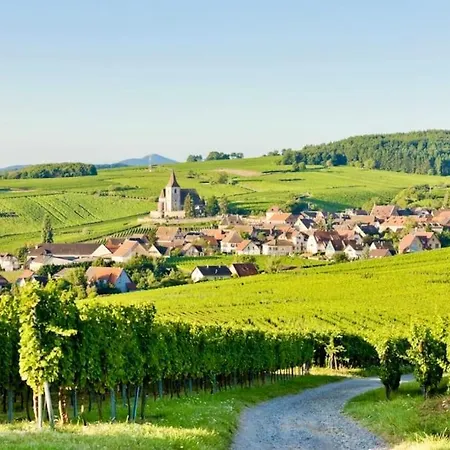 La Du Vignoble D Alsace Willa Bennwihr